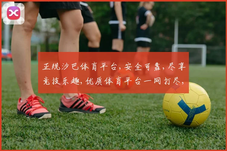 正规沙巴体育平台,安全可靠,尽享竞技乐趣,优质体育平台一网打尽,让您安心畅玩