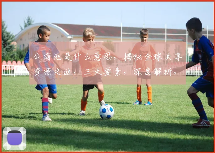 公海池是什么意思，揭秘全球共享资源之谜，三大要素，深度解析，一探究竟