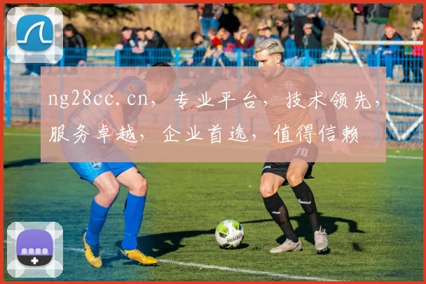 ng28cc.cn，专业平台，技术领先，服务卓越，企业首选，值得信赖