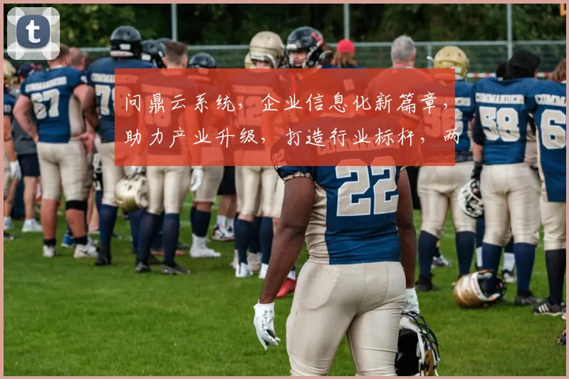 问鼎云系统，企业信息化新篇章，助力产业升级，打造行业标杆，两步到位